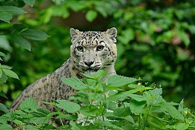 探索希望家园的秘密！文字冒险游戏《海默2000》试玩版现已上线