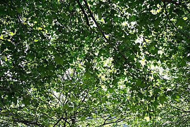 电影《角斗士2》中国内地定档 11月22日全国上映